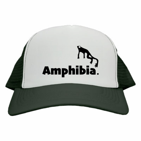 Amphibia メッシュキャップ