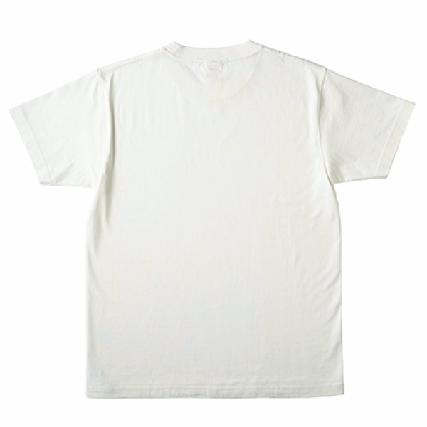 Amphibia オーガニックコットン　ロゴTシャツ