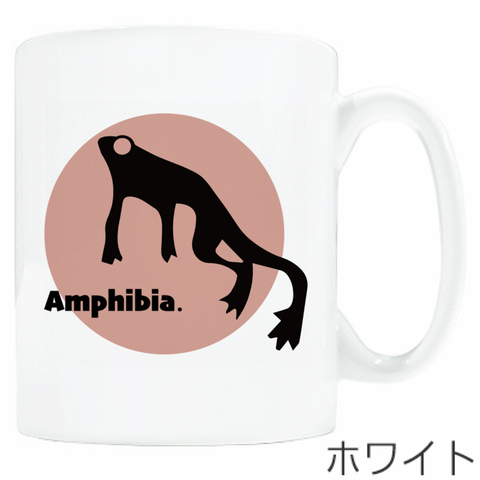 Amphibiaロゴマグカップ（300ml）